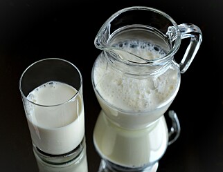 Quiz 13/2022: Hva er tyngst, en liter fløte eller en liter melk?