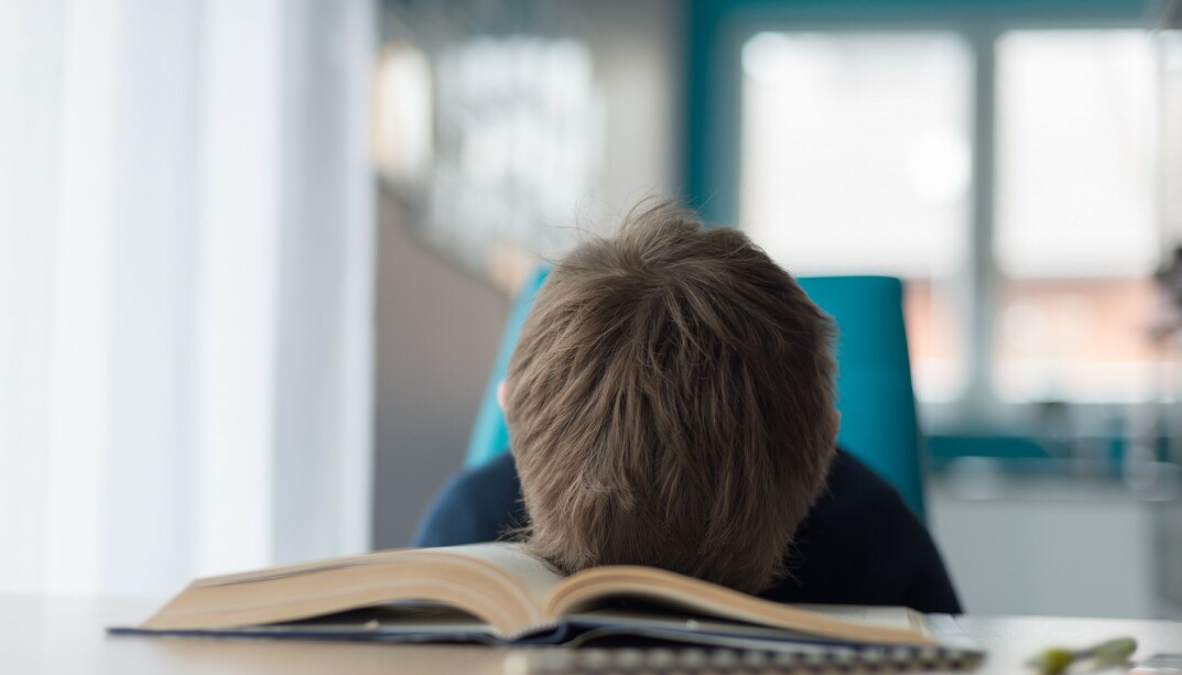 Det finnes elever med dysleksi i nesten alle skoleklasser, skriver forfatteren av denne artikkelen fra Spesialpedagogikk. Det finnes elever med dysleksi i nesten alle skoleklasser, skriver forfatteren av denne artikkelen fra Spesialpedagogikk.