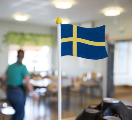 Sverige vil ha slutt på «gledeskarakterer»