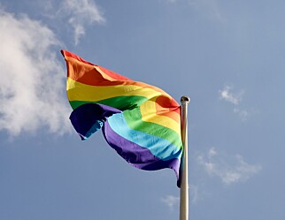 Kristen bergensskole fjernet regnbueflagg