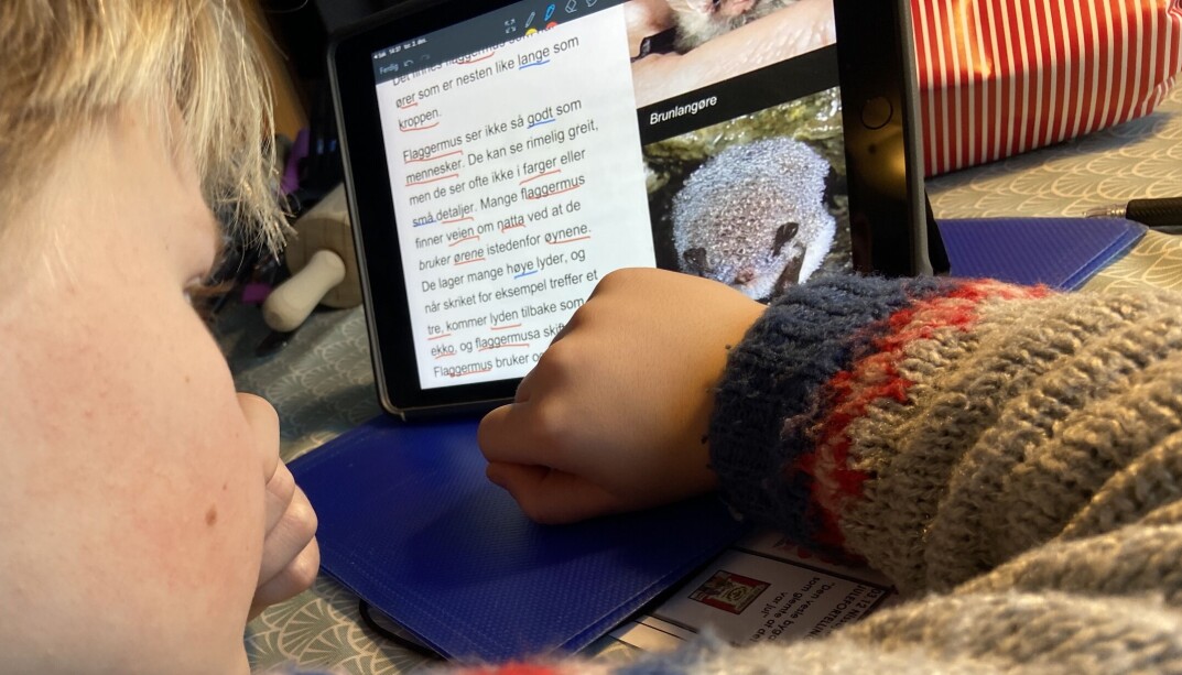 I tre av fire tilsyn om spesialpedagogisk hjelp ble avdekket at eleven ikke fikk den hjelpen den hadde rett på i henhold til vedtaket. I tre av fire tilsyn om spesialpedagogisk hjelp ble avdekket at eleven ikke fikk den hjelpen den hadde rett på i henhold til vedtaket.