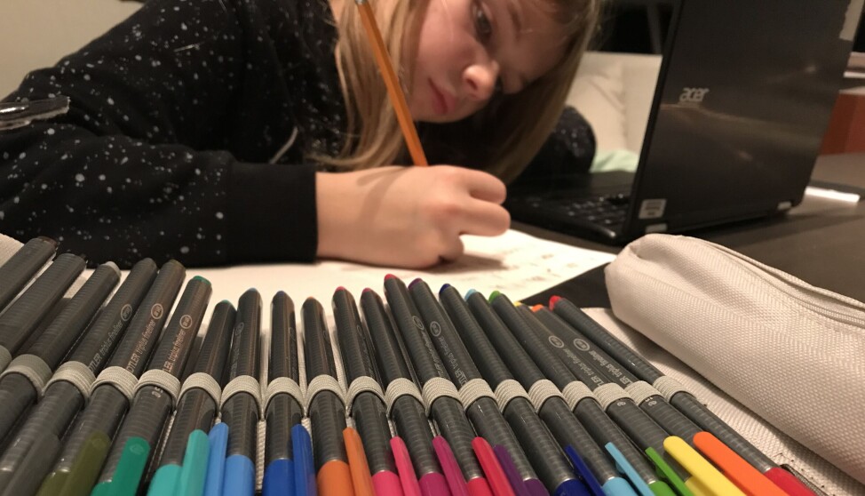 Sverige utvider ferieskolen for elever som henger etter faglig