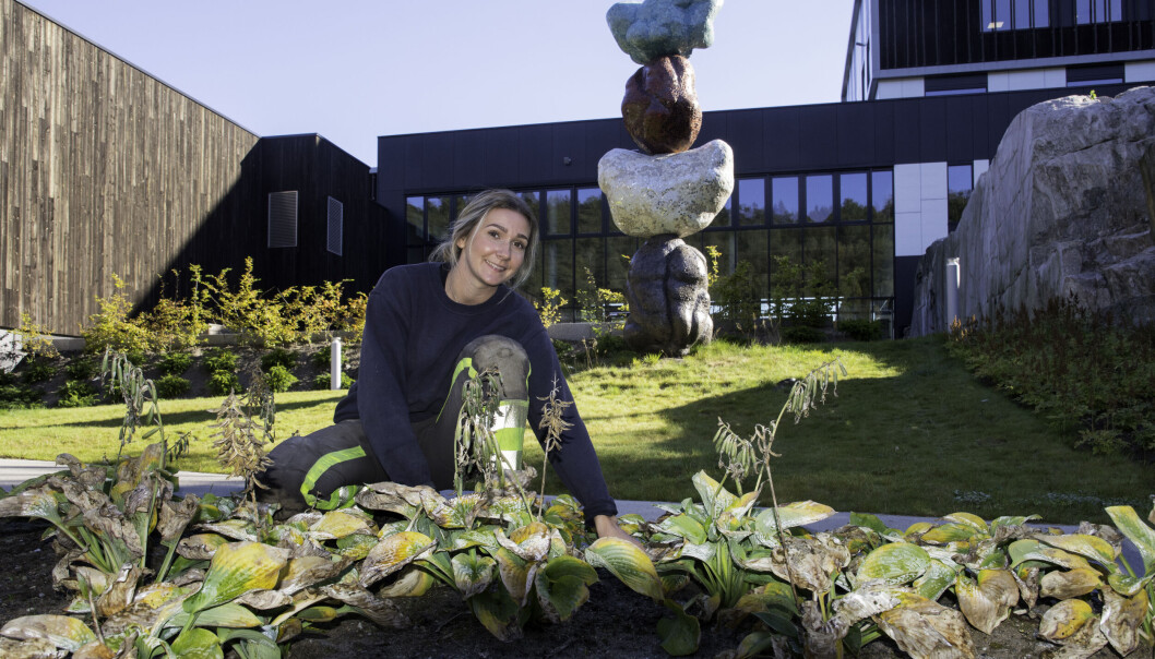Regine Gundersen skal bli anleggsgartner. Regine Gundersen skal bli anleggsgartner.