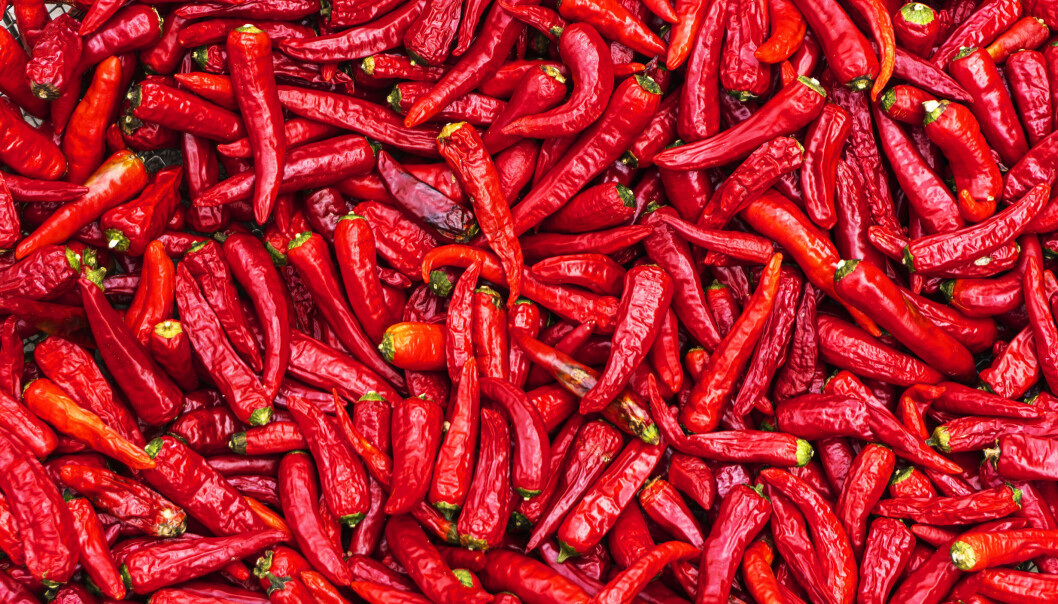 Chili Chili