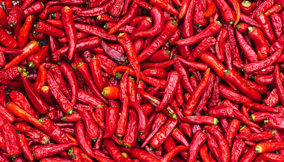 Chili