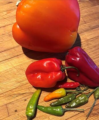 Rød paprika-habanero og rawait. Rød paprika-habanero og rawait.