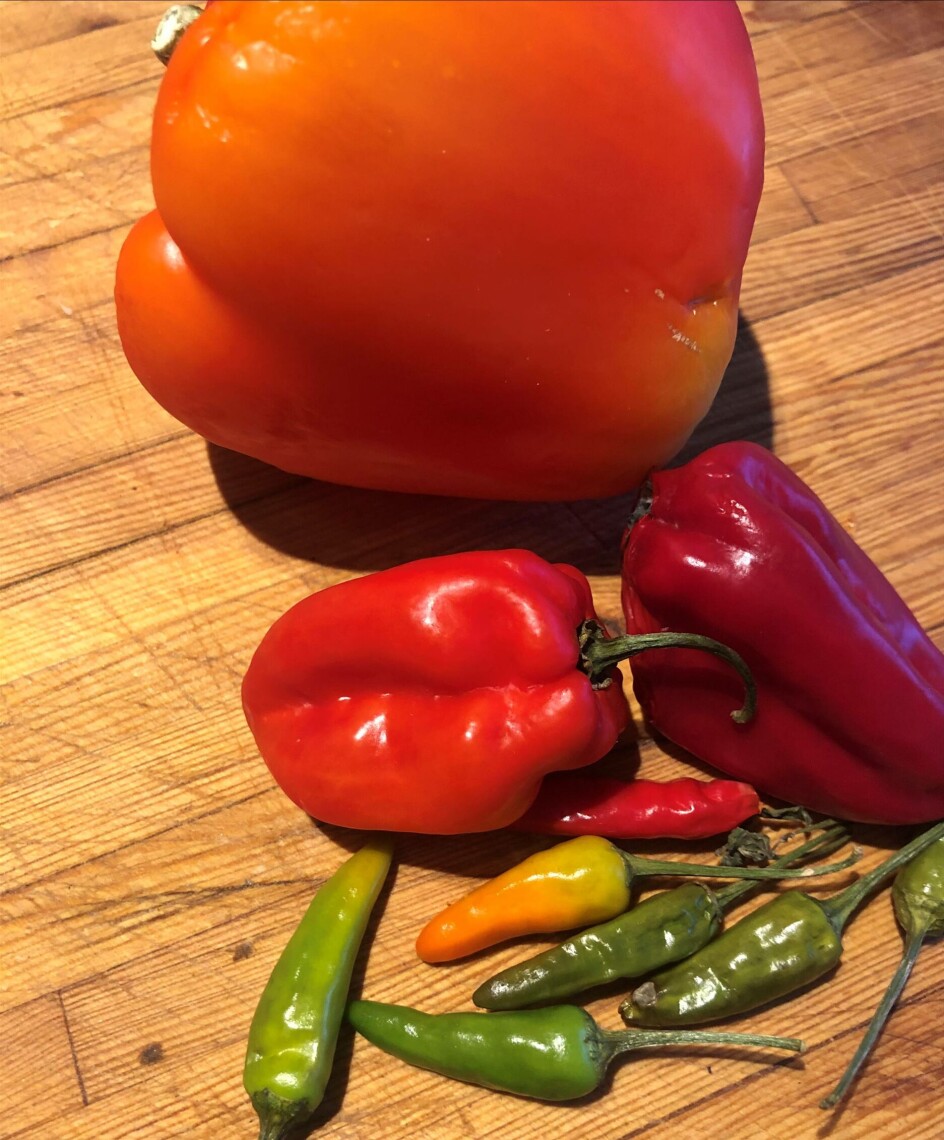 Rød paprika-habanero og rawait.