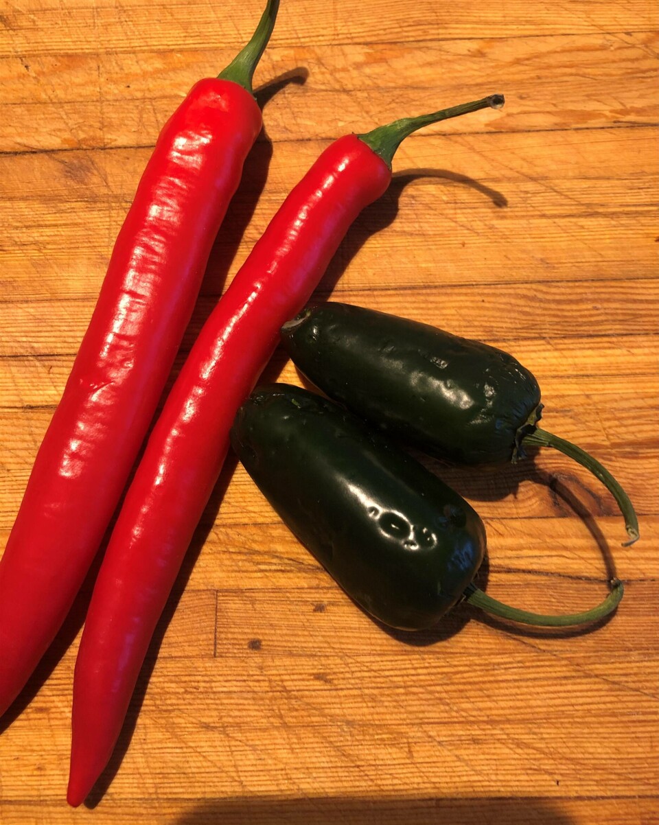 Røy cayenne og chalapeno.