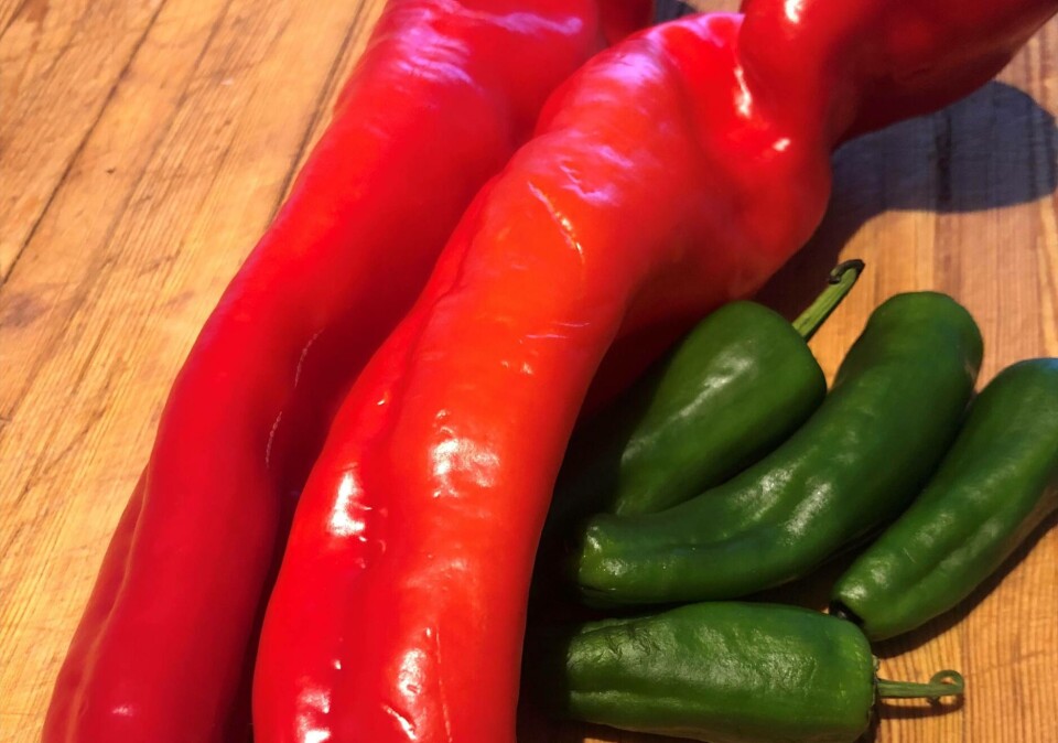Padron og søt-paprika