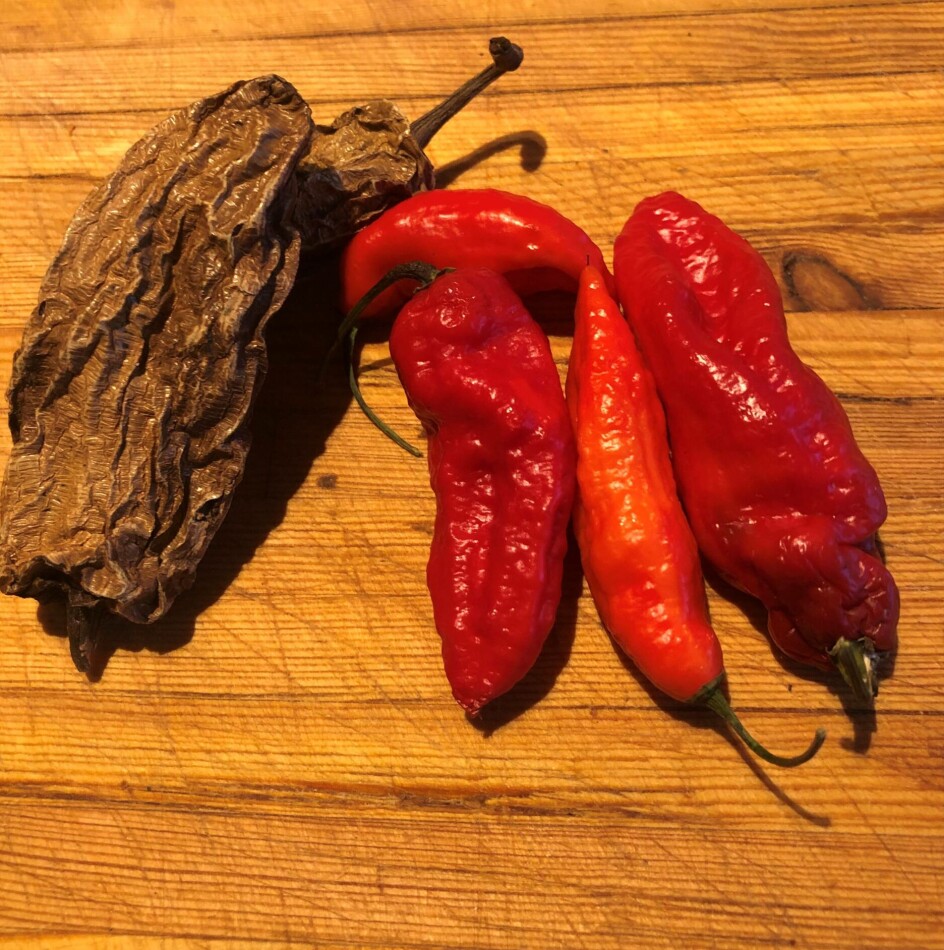Chipotle og rød naga joloksia.