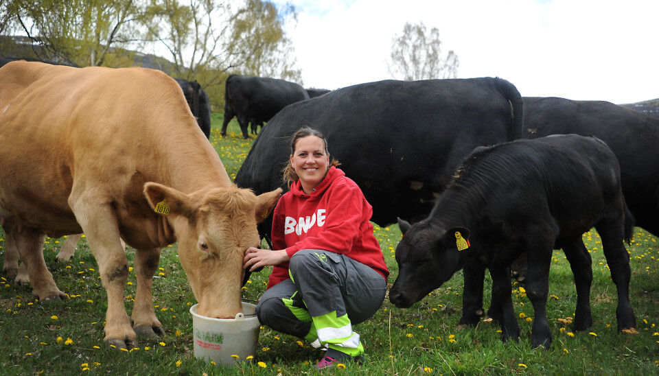 Renate, som tidligere var redd for kuer, er overrasket over hvor godt hun trives som bonde. Hun sier at hver ku har sin egen personlighet. Renate, som tidligere var redd for kuer, er overrasket over hvor godt hun trives som bonde. Hun sier at hver ku har sin egen personlighet.