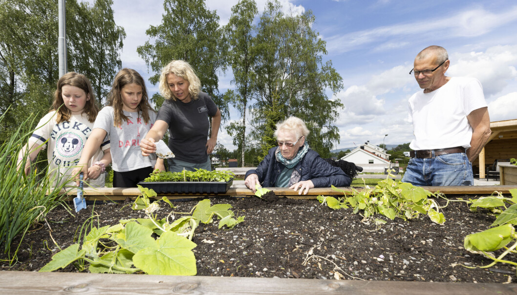 Femteklassingene Jenny og Kristine, Liv Anne Slagsvold Vedum ved Naturskolen, sykehjemsbeboer Kari Engen (100) og kriminalomsorgens arbeidsleder Magne Fevang samles rundt det som spirer og gror i Finsal sanse- og skolehage. Femteklassingene Jenny og Kristine, Liv Anne Slagsvold Vedum ved Naturskolen, sykehjemsbeboer Kari Engen (100) og kriminalomsorgens arbeidsleder Magne Fevang samles rundt det som spirer og gror i Finsal sanse- og skolehage.