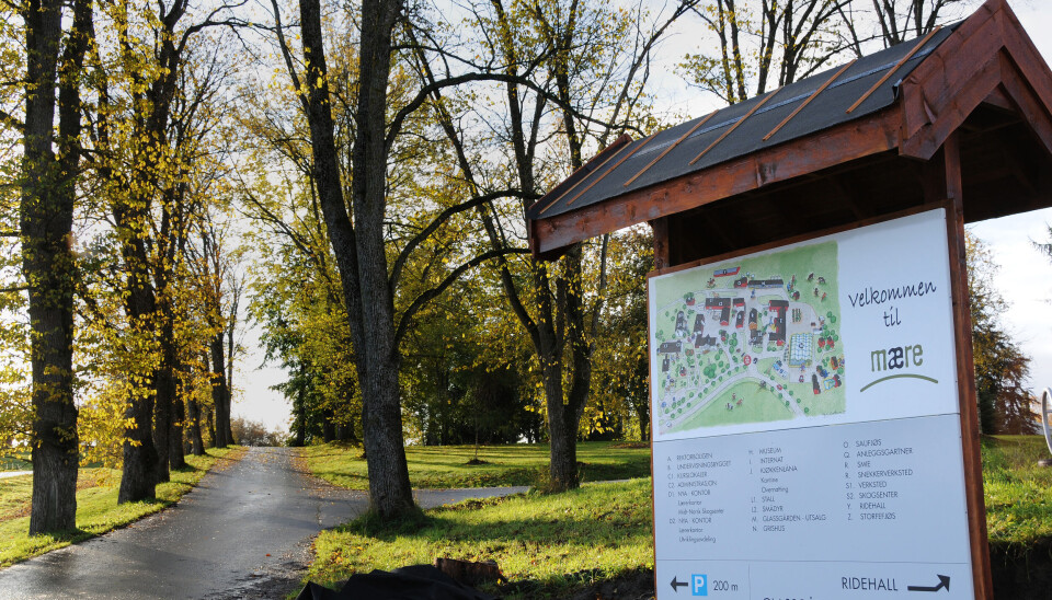 Mære landbruksskole på Mære i Sparbu i Steinkjer kommune søker om dispensasjon fra streiken for tre av lærerne.