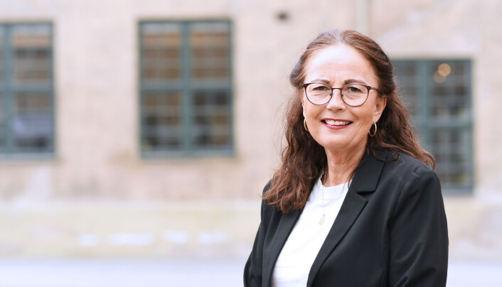 Leder for helsesykepleierne, Ann Karin Swang, er bekymret for ungdommen under lærerstreiken. Leder for helsesykepleierne, Ann Karin Swang, er bekymret for ungdommen under lærerstreiken.