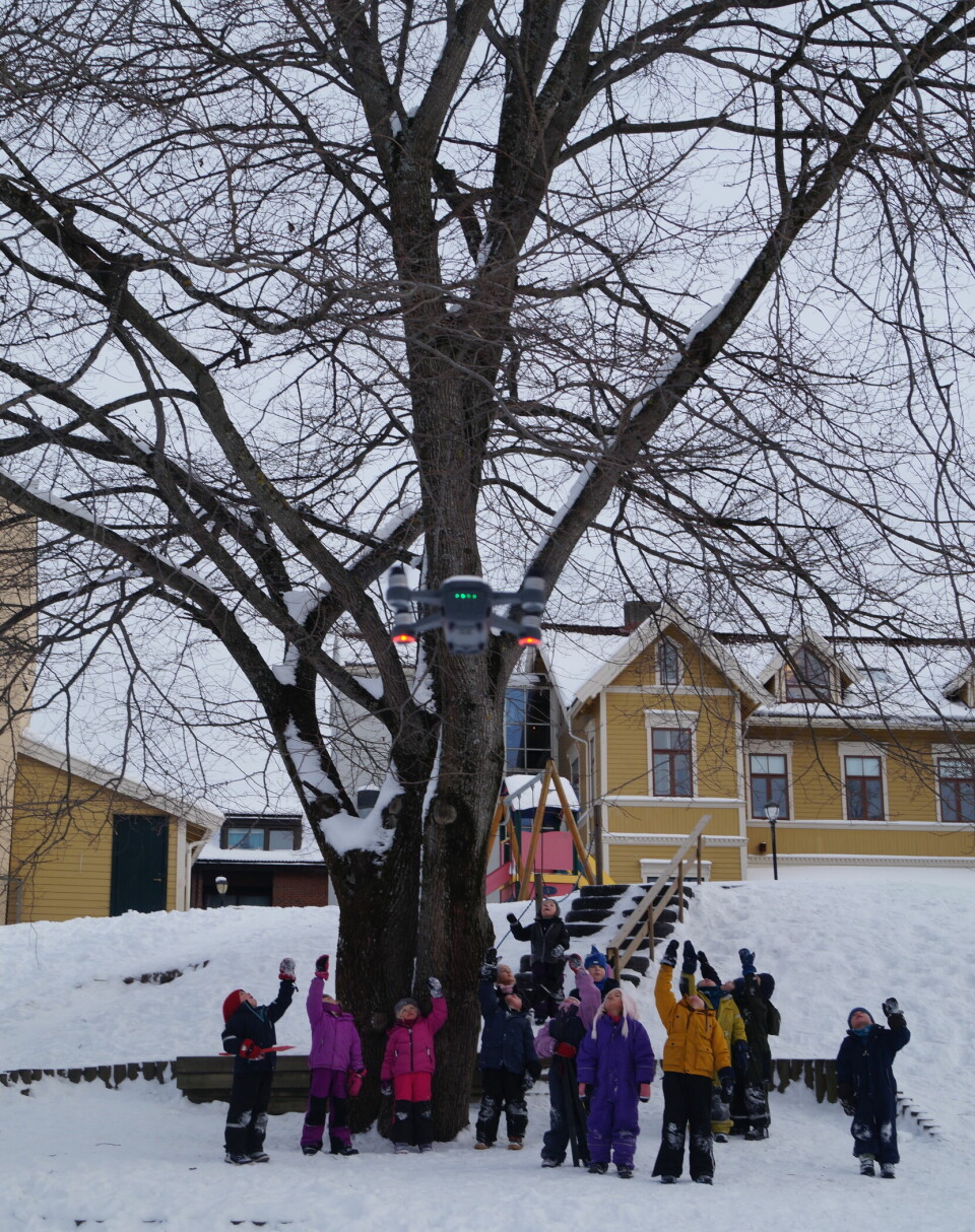 Hvor høyt er treet? spurte barna i barnehagen. Ved hjelp av en drone fikk de svaret: 27 meter høyt.