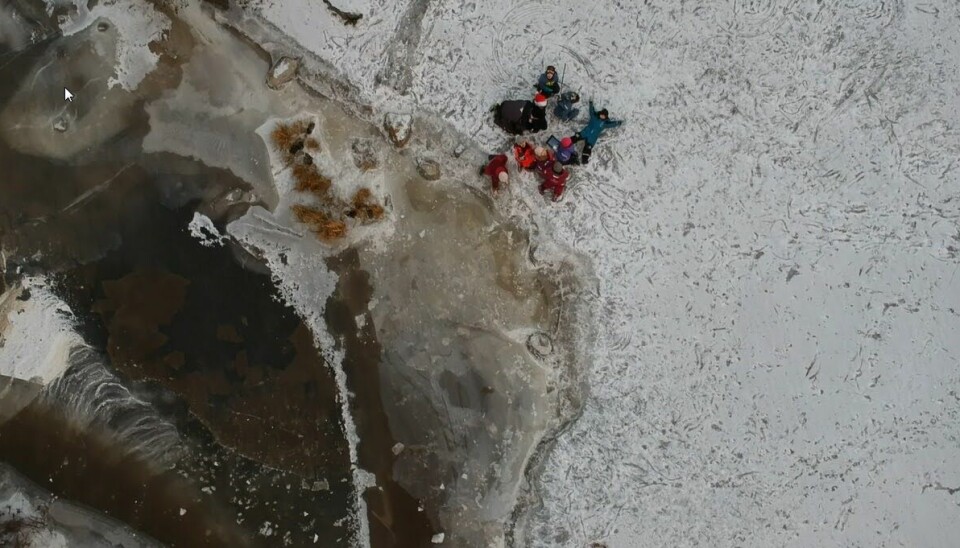 Dronebildene viser en gruppe barn som forsker på ulik vegetasjon i isen ved Ilabekken.