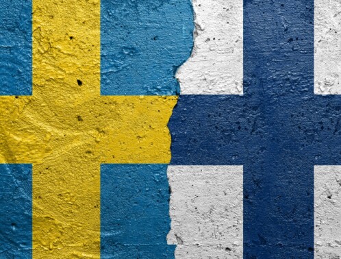 Skolane vil hjelpe svenskspråklege og finskspråklege elevar til å bli betre kjent