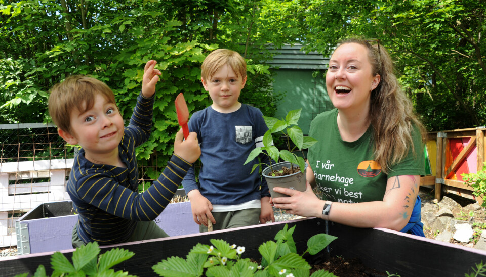 Max Karlsen Risanger (4), Trym Benjamin Mo Bjurstrøm (5) og pedagogisk leder Sarah Johansen sjekker hvordan det har gått med det de har plantet ut. Barna følger plantene fra frø til bord.