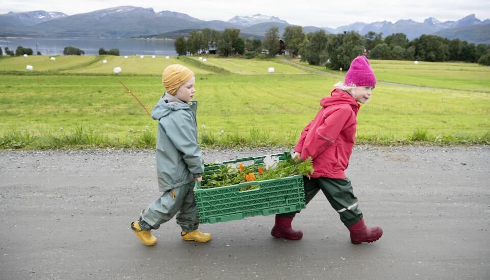 Leonard og Celin bærer ei kasse med grønnsaker tilbake til barnehagen.