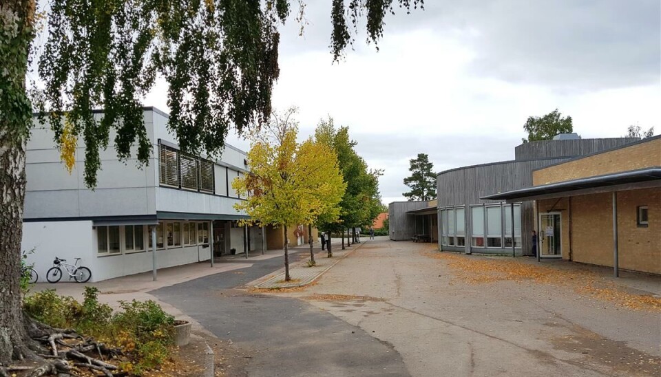 Småskoletrinnet Ringshaug skole er en av skolene i Tønsberg som i dag ikke oppfyller lærernormen.