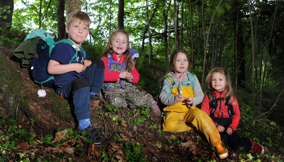 Axel Ludvig Häggblom (4 år), Iben Helene Nøkleby (4 år), Aria Elanor Gjørv (5 år) og Emily Rose Zacour (4 år) tar en pause i skogen på vei til Tangen for å spise litt av den syrlige planten gjøksyre. Axel Ludvig Häggblom (4 år), Iben Helene Nøkleby (4 år), Aria Elanor Gjørv (5 år) og Emily Rose Zacour (4 år) tar en pause i skogen på vei til Tangen for å spise litt av den syrlige planten gjøksyre.