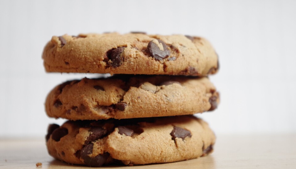 Elever selger kaker for å få penger til skolen - Statsforvalteren reagerer kaker
cookies