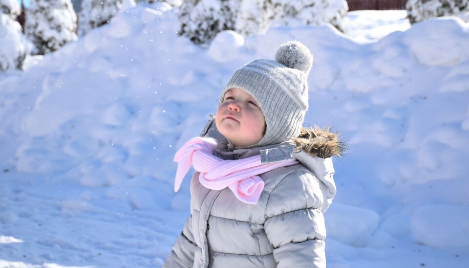 vinter 
snø
barnehage