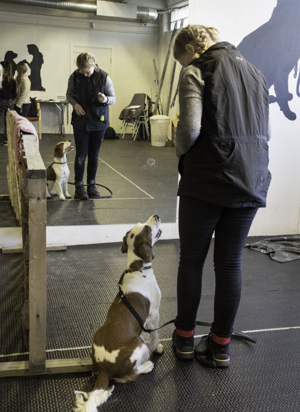 På Natur videregående skole er hundefag en godbit