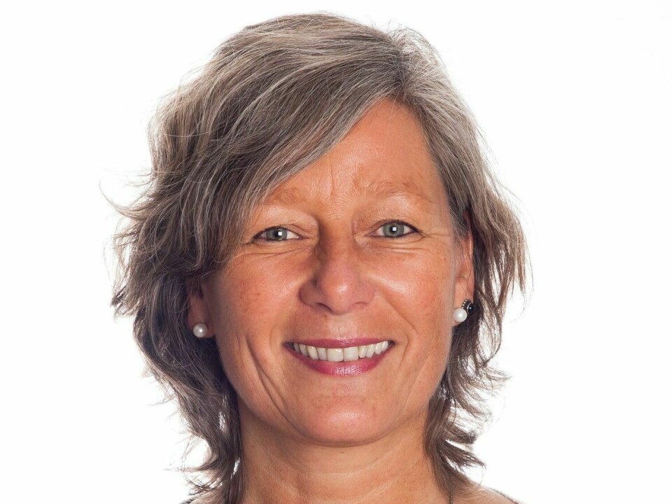 Leder Karin Hognestad ved Senter for barnehageforskning ved Universitetet i Sørøst-Norge