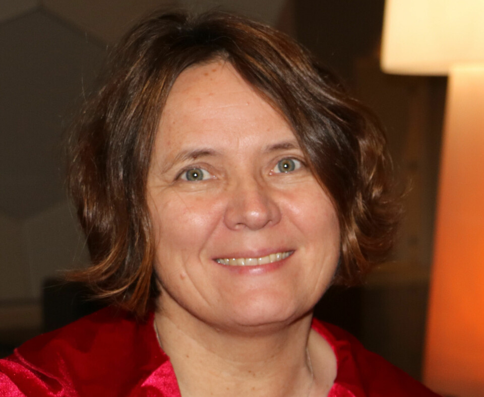 Professor Marit Bøe ved Universitetet i Sørøst-Norge.