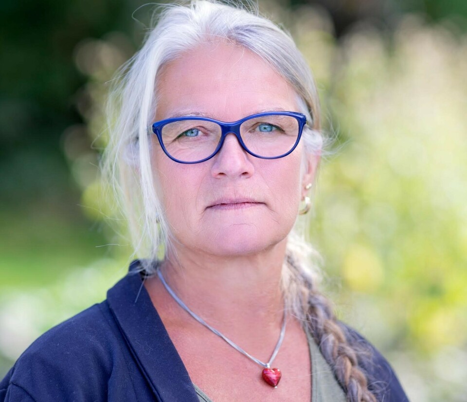 Førsteamanuensis Anne Kristine Solberg Runestad ved Universitet i Stavanger.