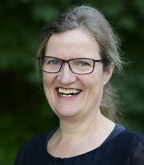 Professor Anne Greve ved OsloMet.