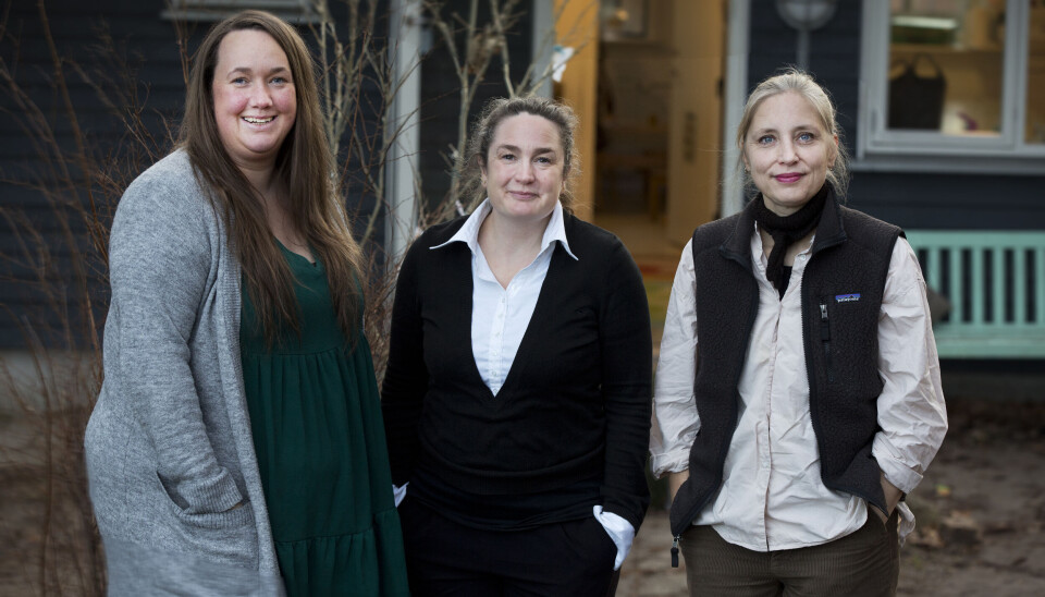 Felles lekemanus skal sikre at så mange barn som mulig får ta del i lekefellesskap med andre barn, forteller daglig leder Kamilla Frost (t.v.) og pedagog Anne-Marie von Holck i Græstedgård barnehage og områdeleder Kristina Avenstrup for Kokkedal barnehager.