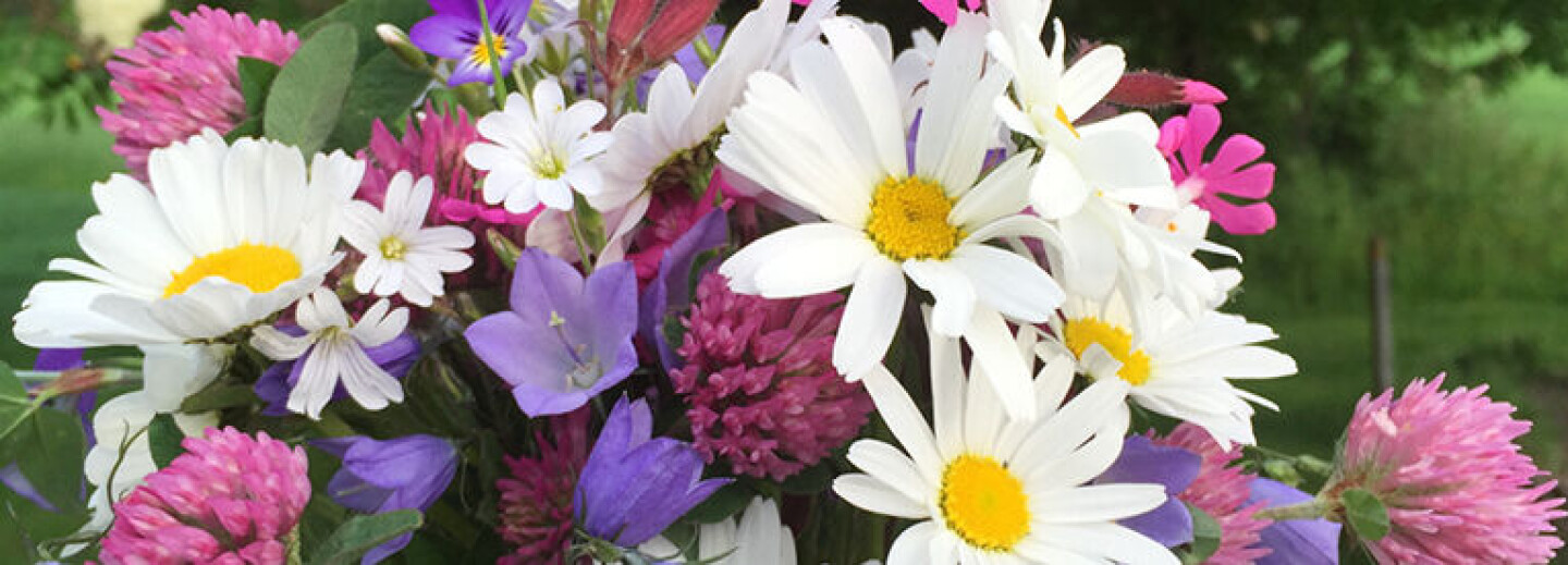 Undervisningsstillinger