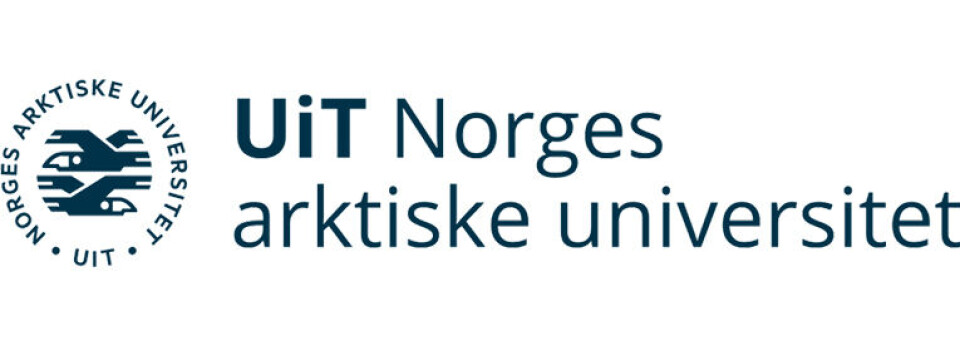 Stipendiat i flerspråklighet og utdanning