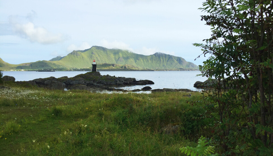 Løkta ligger på Gravdal, ved Buksnesfjorden i Lofoten fyrløkt
natur
lofoten
friluft