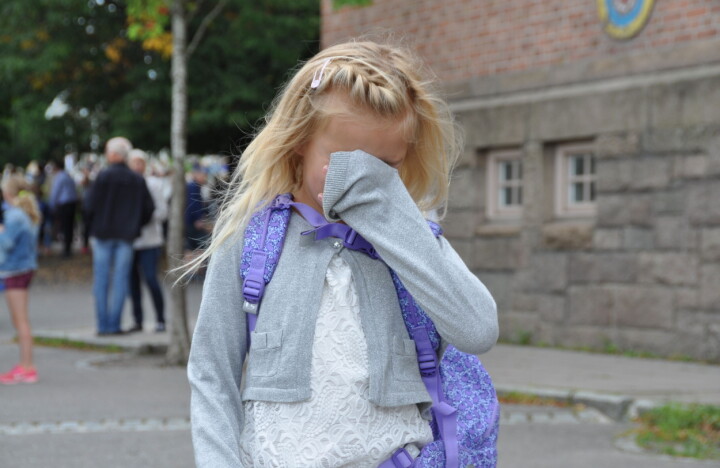 Lærere og andre ansatte innenfor skoleverket må ha kunnskap om traumeforståelse mobbing
alene
ensom
vondt