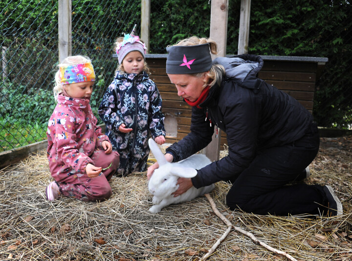 Vilde Martinsen (4) (t.v.), Elsa Rudlang (4) og styrer Monica Røraas besøker kaninene på gården.