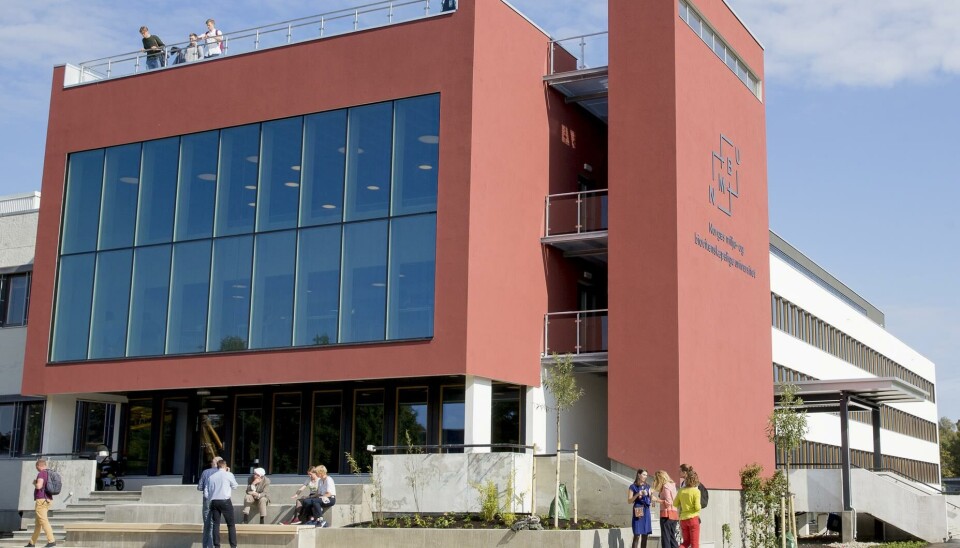 Universitetslektor i pedagogikk (vikariat)
