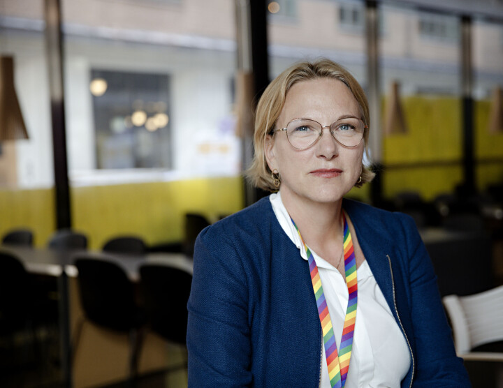 Irene Hilleren, avdelingsdirektør i Udir.