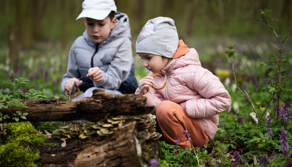 utendørs skole opplæring læringsarena skog barn