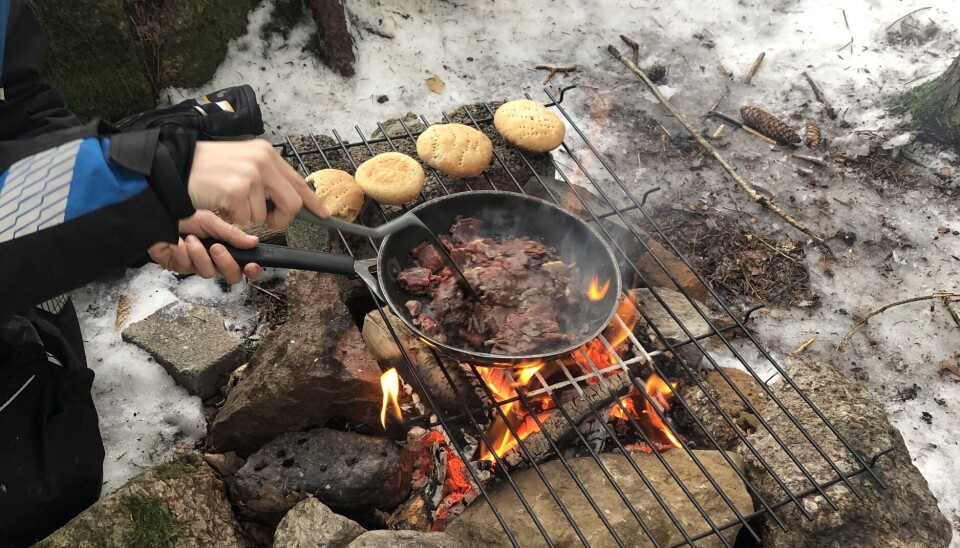 Reinsdyrkjøtt og ghakko (samisk brød).