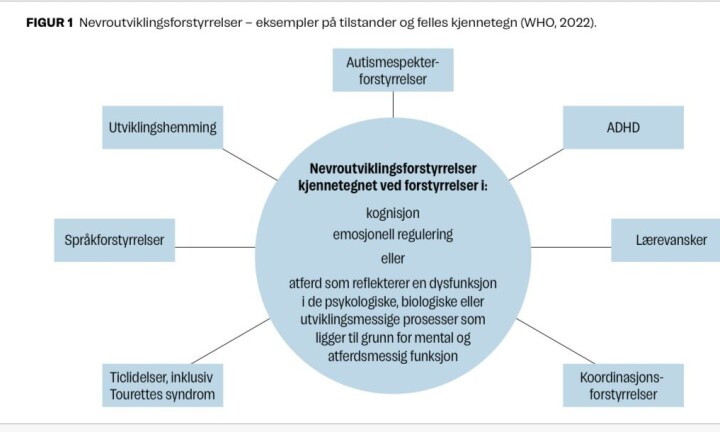 Nevroutviklingsforstyrrelser sett i lys av nevrovitenskap og spesialpedagogikk