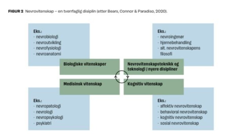 Nevroutviklingsforstyrrelser sett i lys av nevrovitenskap og spesialpedagogikk