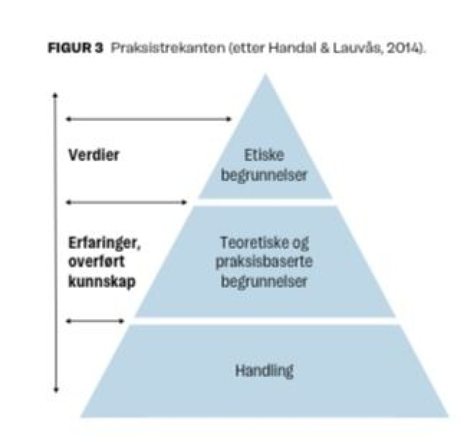 Nevroutviklingsforstyrrelser sett i lys av nevrovitenskap og spesialpedagogikk