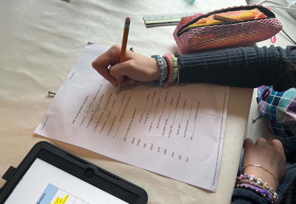 Dysleksidiagnose gir elever fordeler