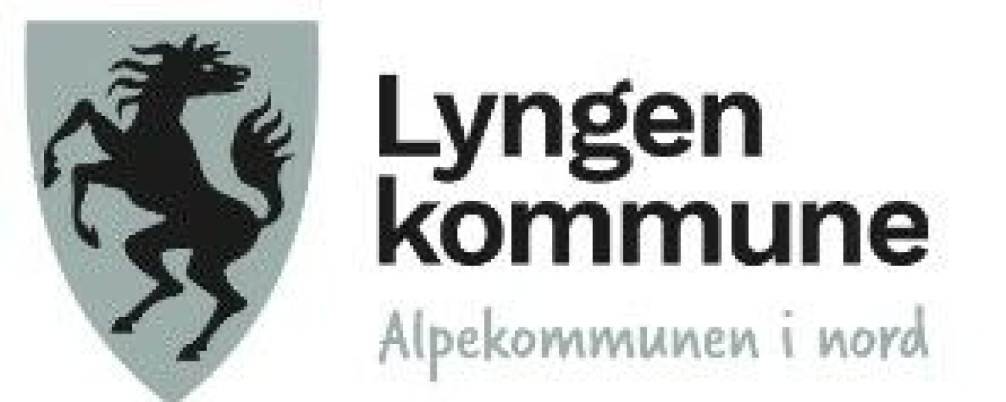 Fakta om stillingen: