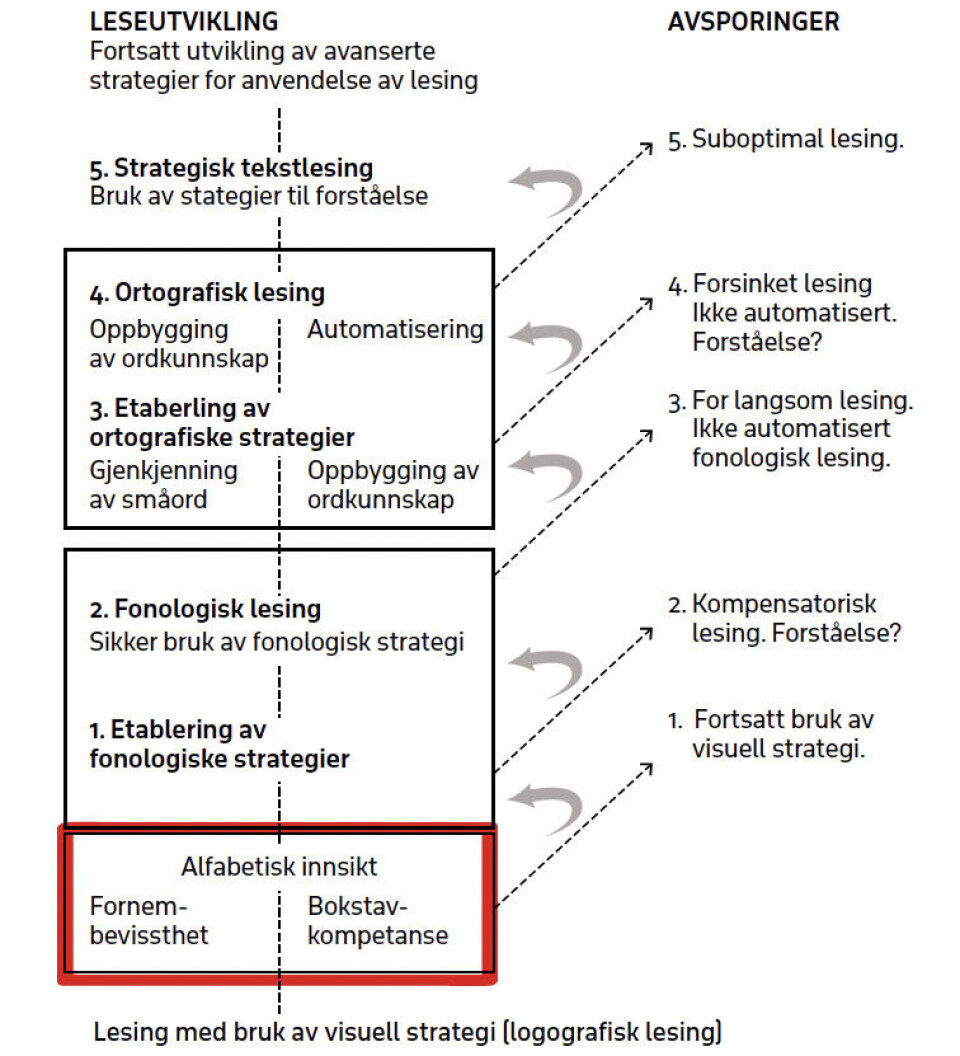 Figur 1: Spear-Swearlings modell for leseutvikling (Frost2003, 2003, etter Spear-Swerling og Sternberg, 1994) i Hagtvet, Frost & Refsahl 2014 s .99)
