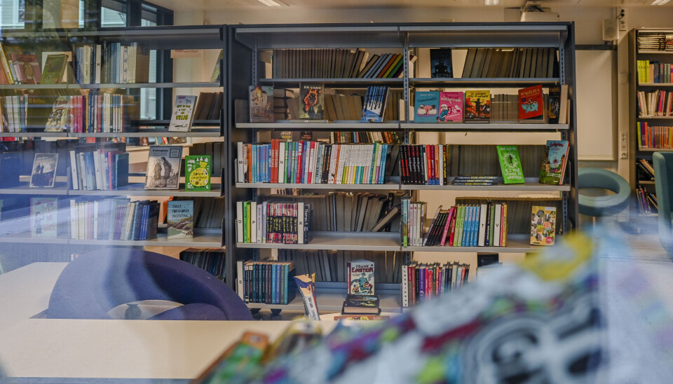 Leselyststrategien: En god begynnelse, men langt fra målet