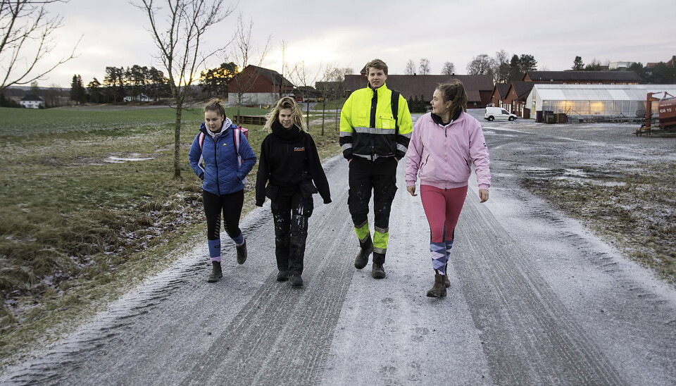 En hel gård utgjør 'klasserommet'. Loise Arntzen, Cecilie Sigvartsen , Fredrik Fjærvoll Olsen og Ragnhild Wildskog er i sving på skoleområdet.